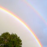 Regenbogen